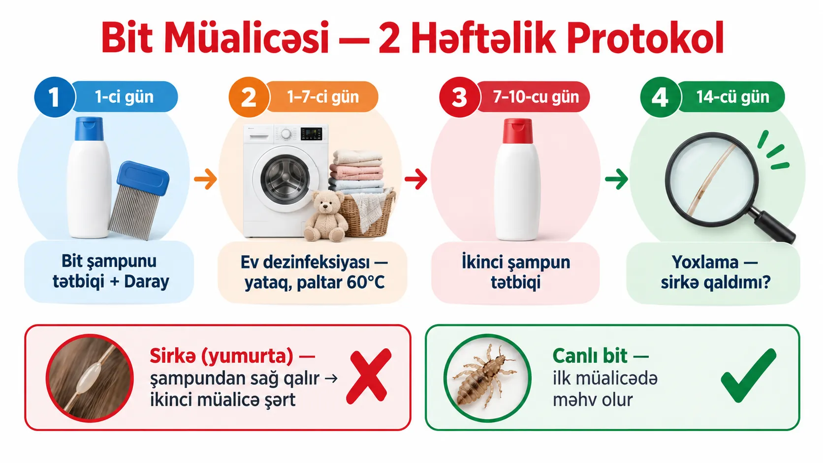 Bit müalicəsi 2 həftəlik protokol — şampun daray dezinfeksiya sirkə ikinci müalicə
